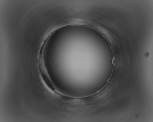 X0000096701479200802121151