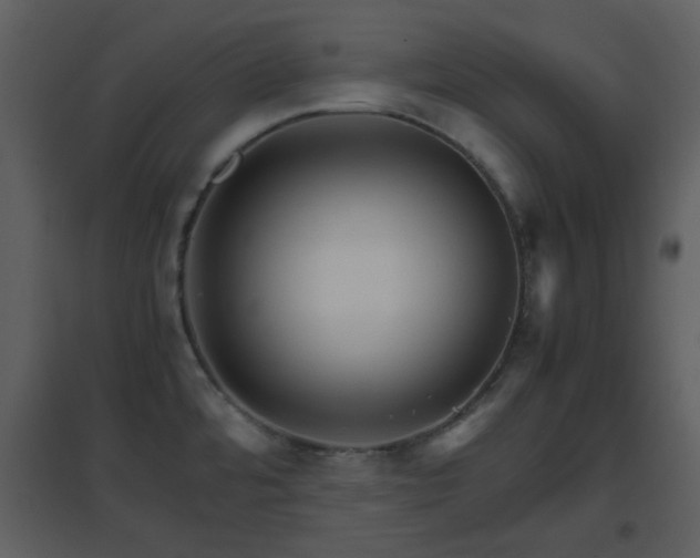 X0000096701480200802121151
