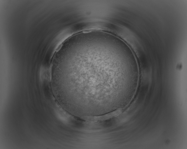 X0000096701481200802121151