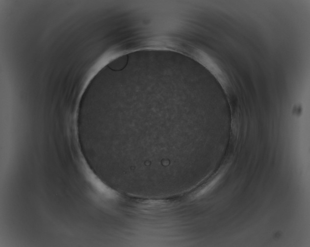 X0000096701482200802121151
