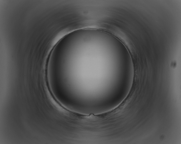 X0000096701483200802121151