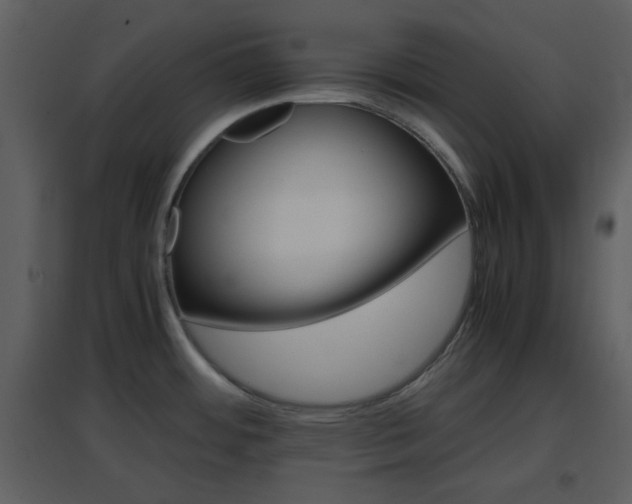 X0000096701484200802121151