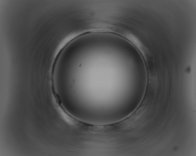X0000096701485200802121151