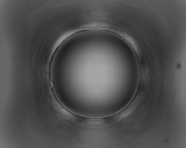 X0000096701486200802121151