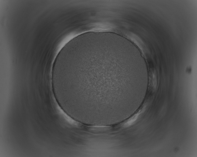 X0000096701487200802121151