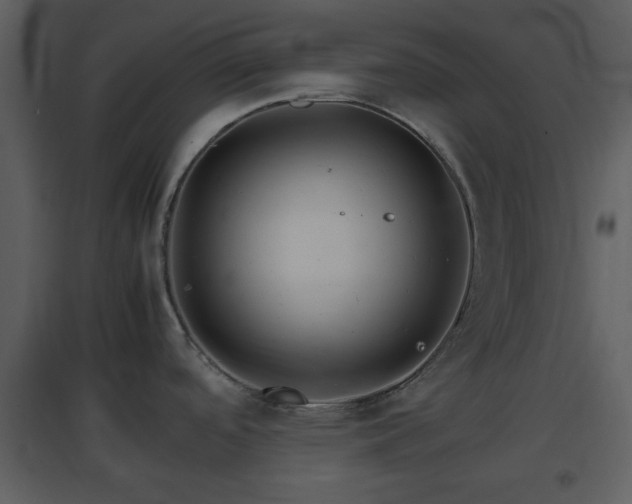 X0000096701488200802121151
