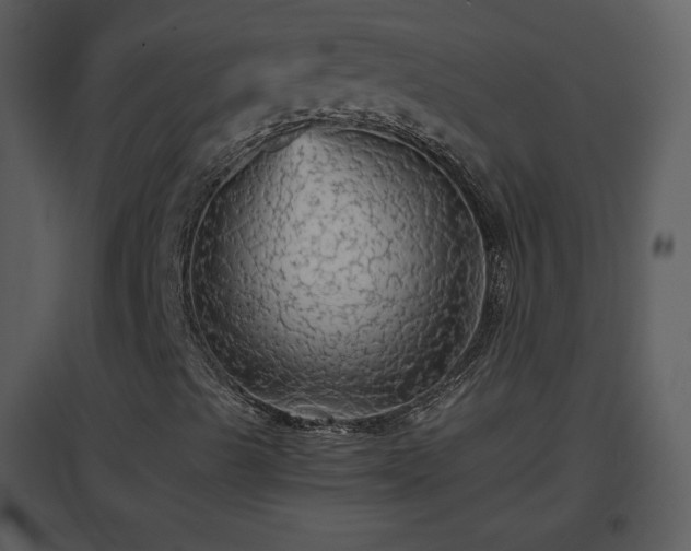 X0000096701489200802121150