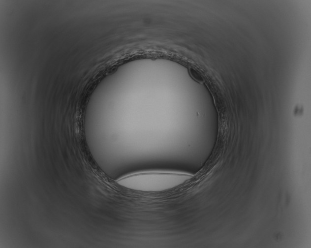 X0000096701490200802121150