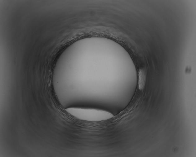 X0000096701491200802121151