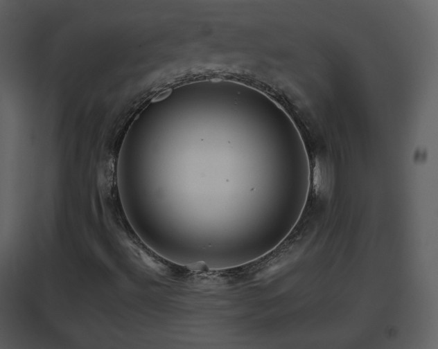 X0000096701492200802121151