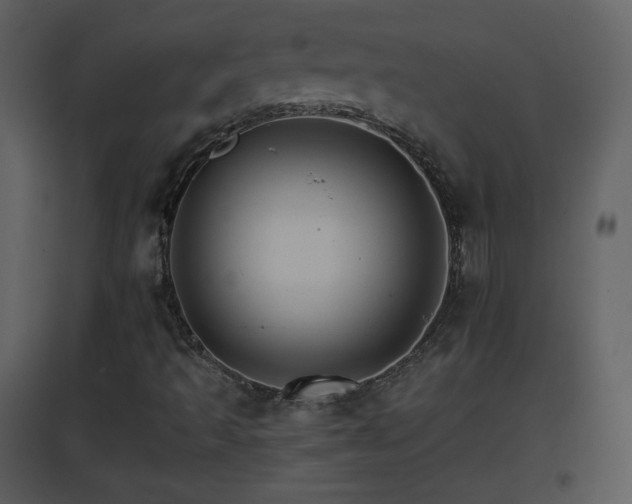 X0000096701493200802121151