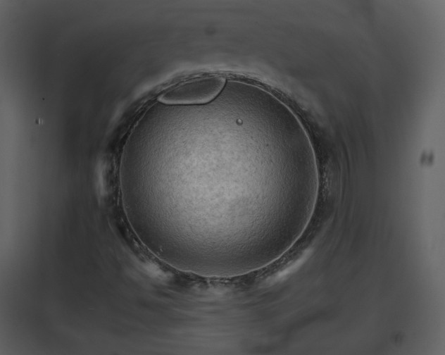 X0000096701494200802121151