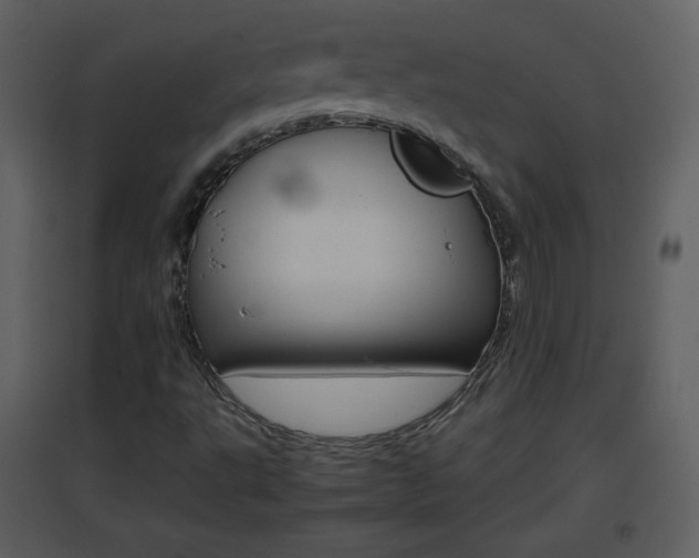X0000096701495200802121151