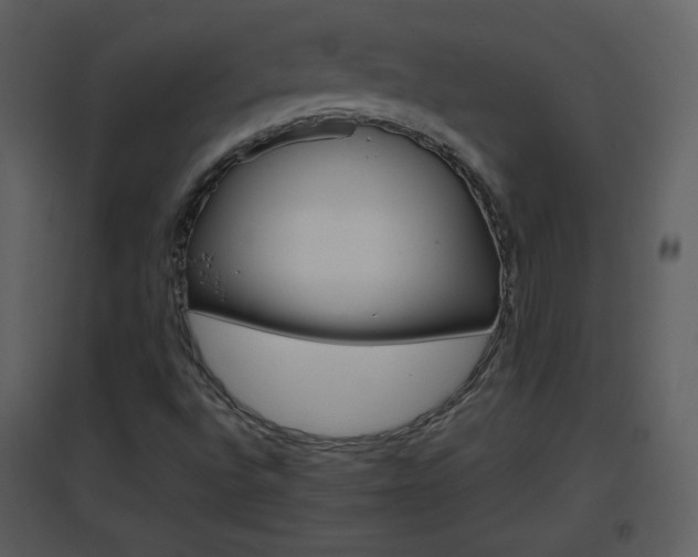 X0000096701496200802121151