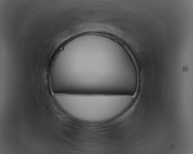 X0000096701497200802121151