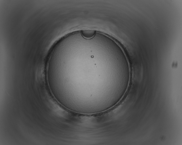 X0000096701498200802121151