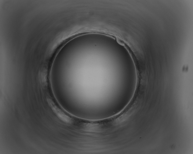 X0000096701499200802121151
