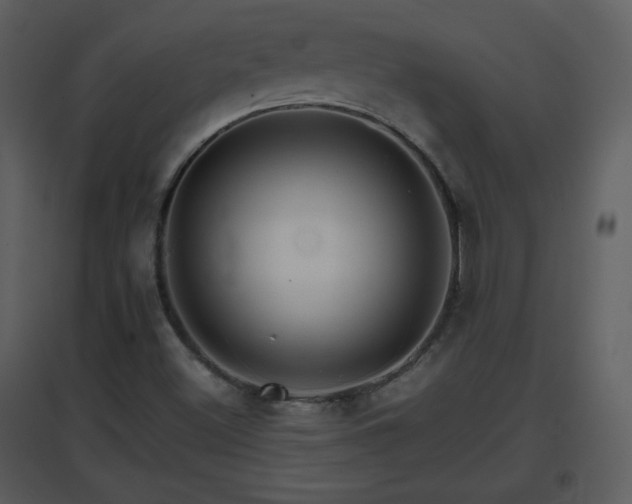 X0000096701500200802121151