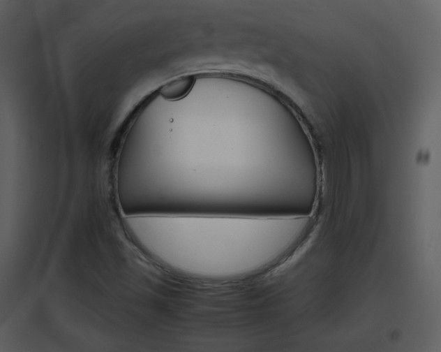 X0000096701501200802121151
