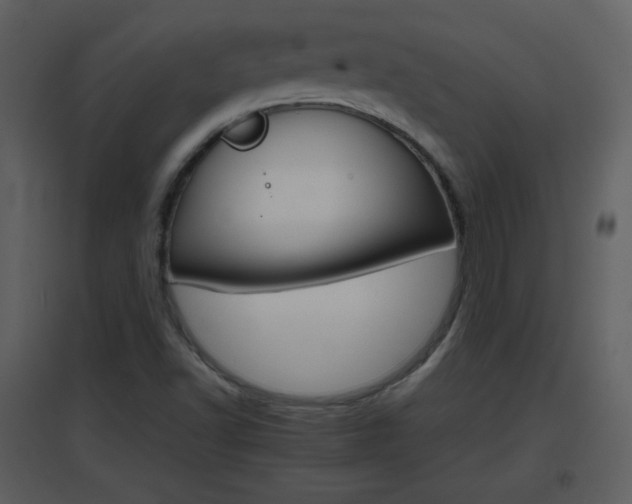 X0000096701502200802121151