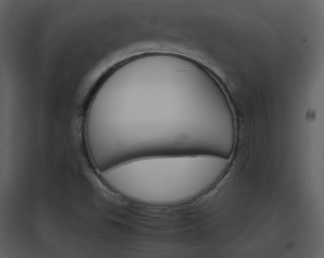X0000096701503200802121151