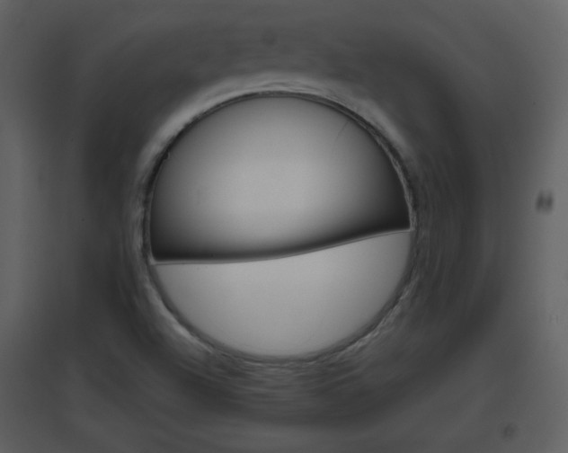 X0000096701504200802121151