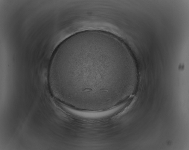 X0000096701505200802121151