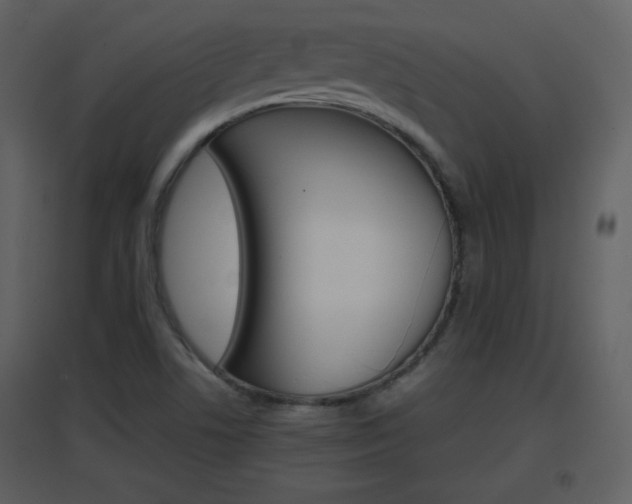 X0000096701506200802121151