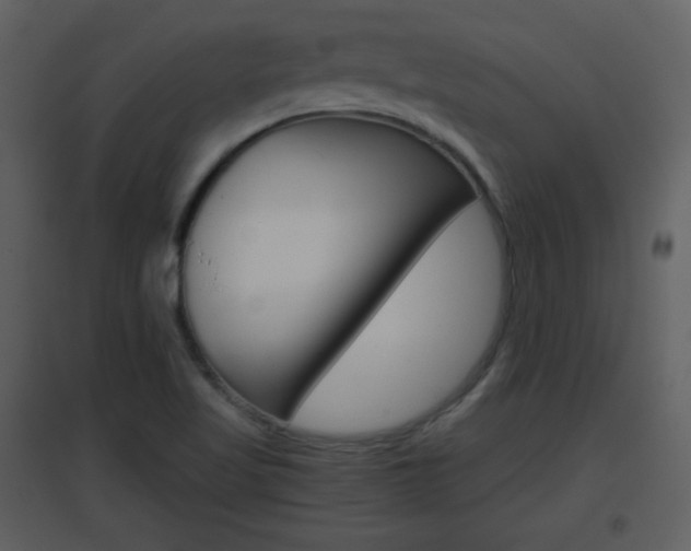 X0000096701509200802121151