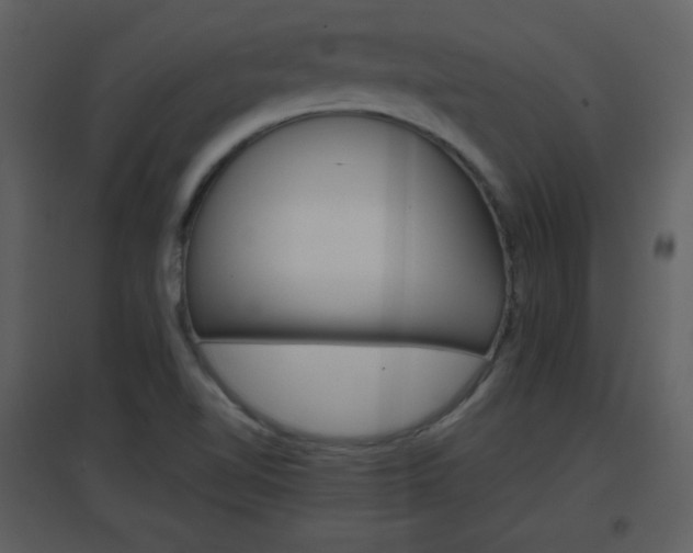 X0000096701510200802121151