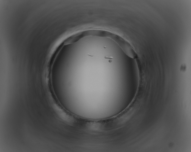 X0000096701511200802121151