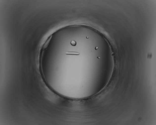 X0000096701512200802121151