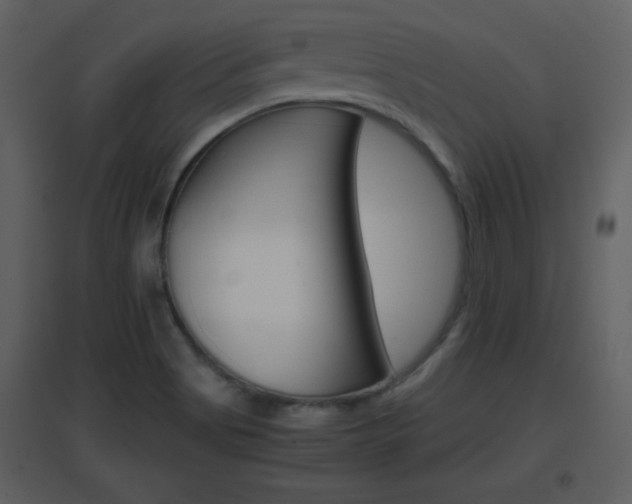 X0000096701513200802121151