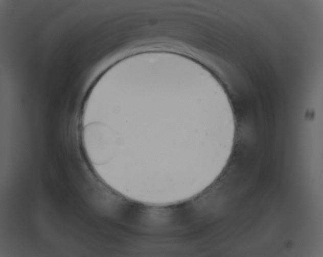 X0000096701514200802121151