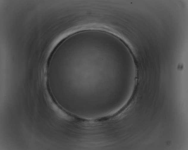 X0000096701515200802121151
