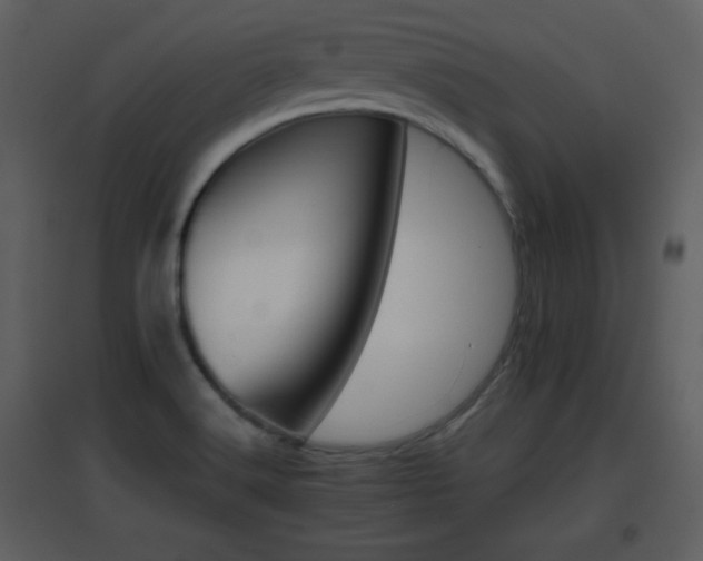X0000096701516200802121151