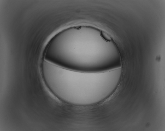 X0000096701518200802121151