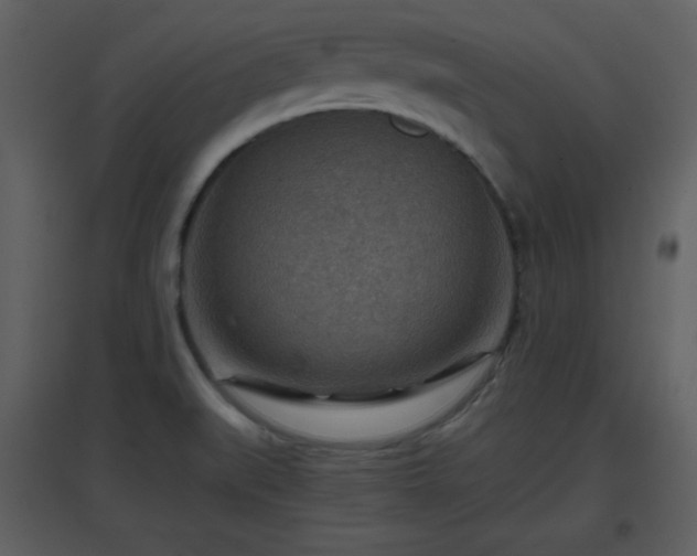 X0000096701519200802121151