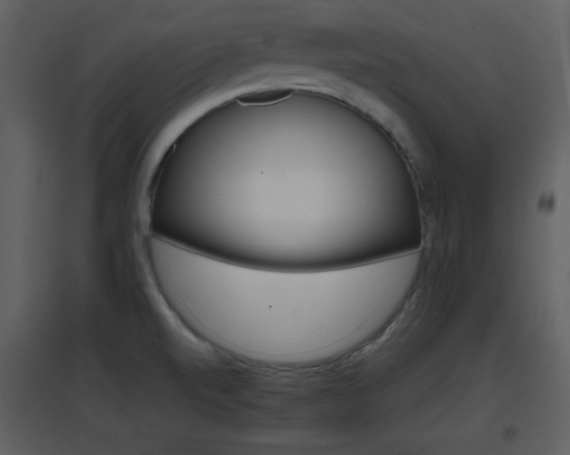 X0000096701520200802121151