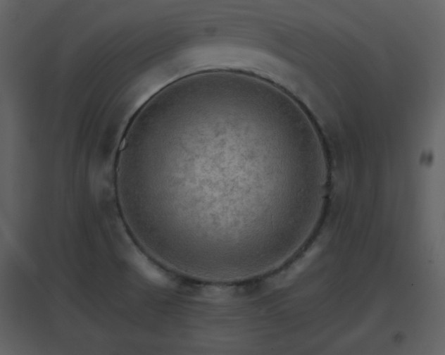 X0000096701521200802121151
