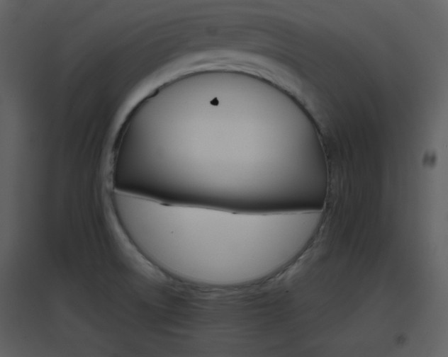 X0000096701522200802121151