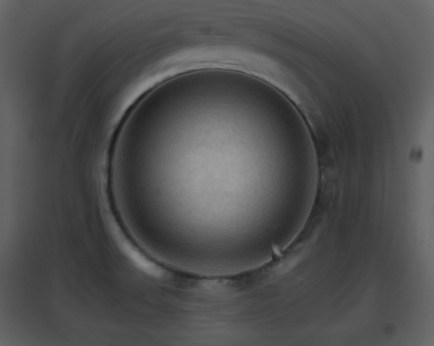 X0000096701523200802121151