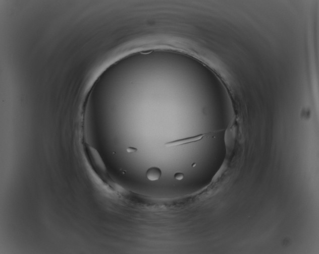 X0000096701524200802121151