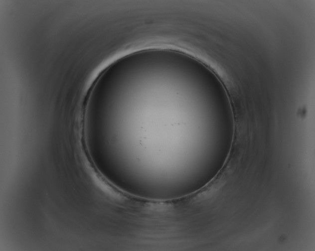 X0000096701526200802121151