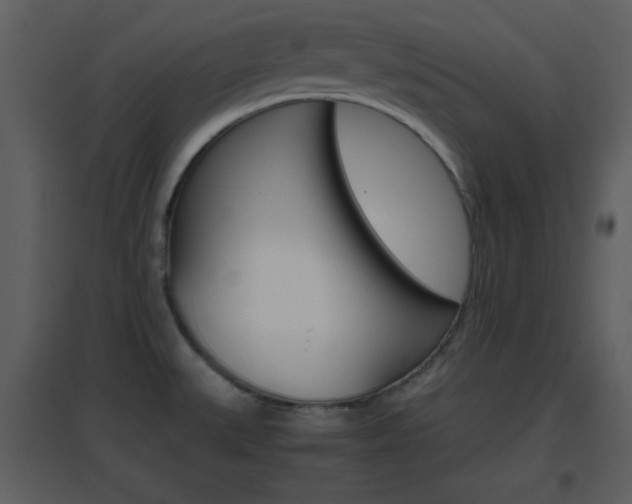X0000096701527200802121151