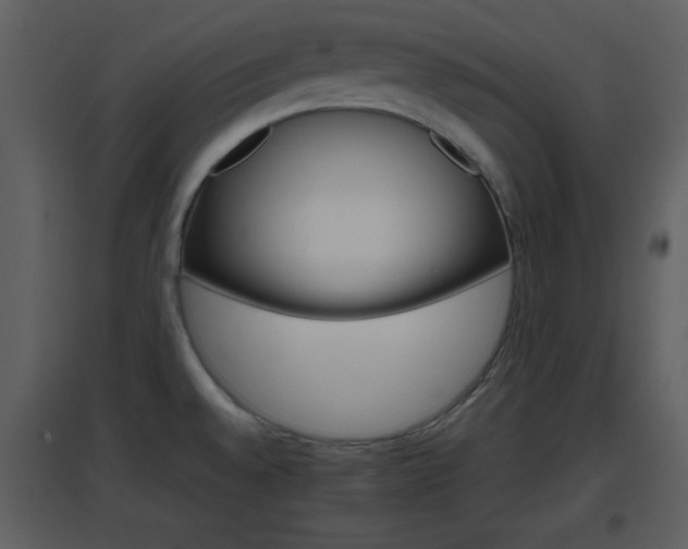 X0000096701528200802121151
