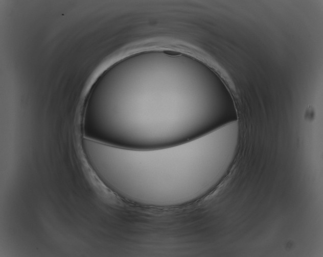 X0000096701530200802121151