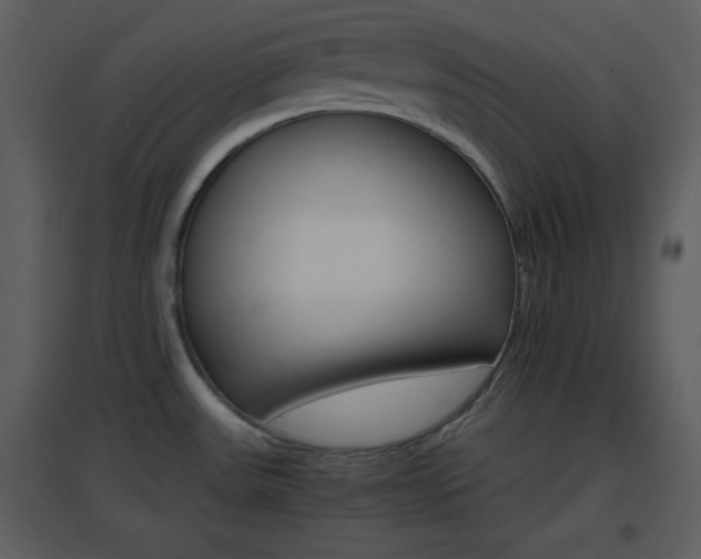 X0000096701531200802121151