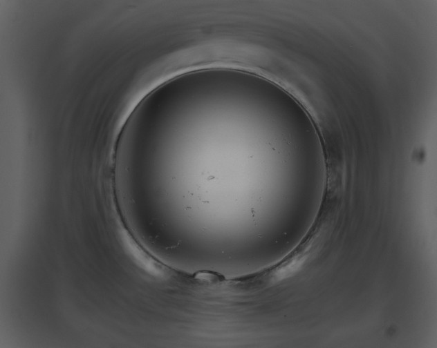 X0000096701532200802121151