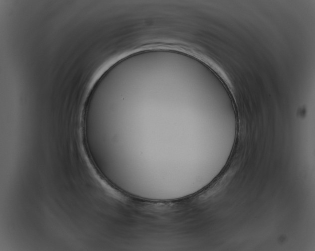 X0000096701533200802121151